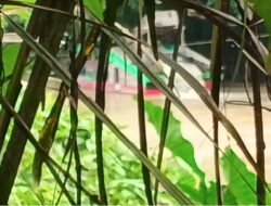 Dugaan Keterlibatan Kapolsek dalam Aktivitas PETI di Nanga Taman Sekadau Mencuat,Kapolres tutup Mata